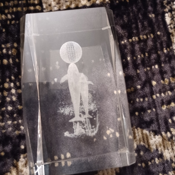 4/$40 Dolphins Playing Ball - 3D Image In a Clear Block/Paperweight - Picture 5 of 7